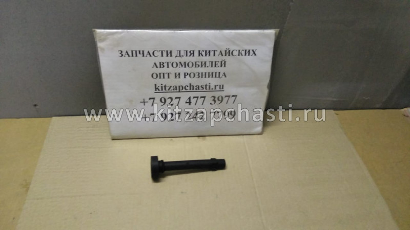 Наконечник катушки зажигания Haval Jolion 3705102XEG01T